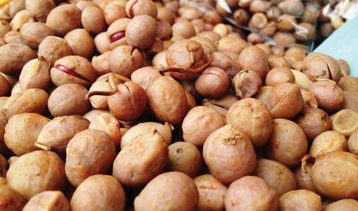 بادام زمینی بامبارا / Bambara groundnuts